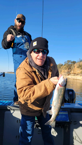 Trout Fishing In Lake Camanche